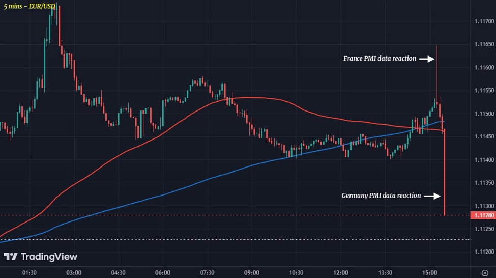 Euro dips slightly after French, German PMI data