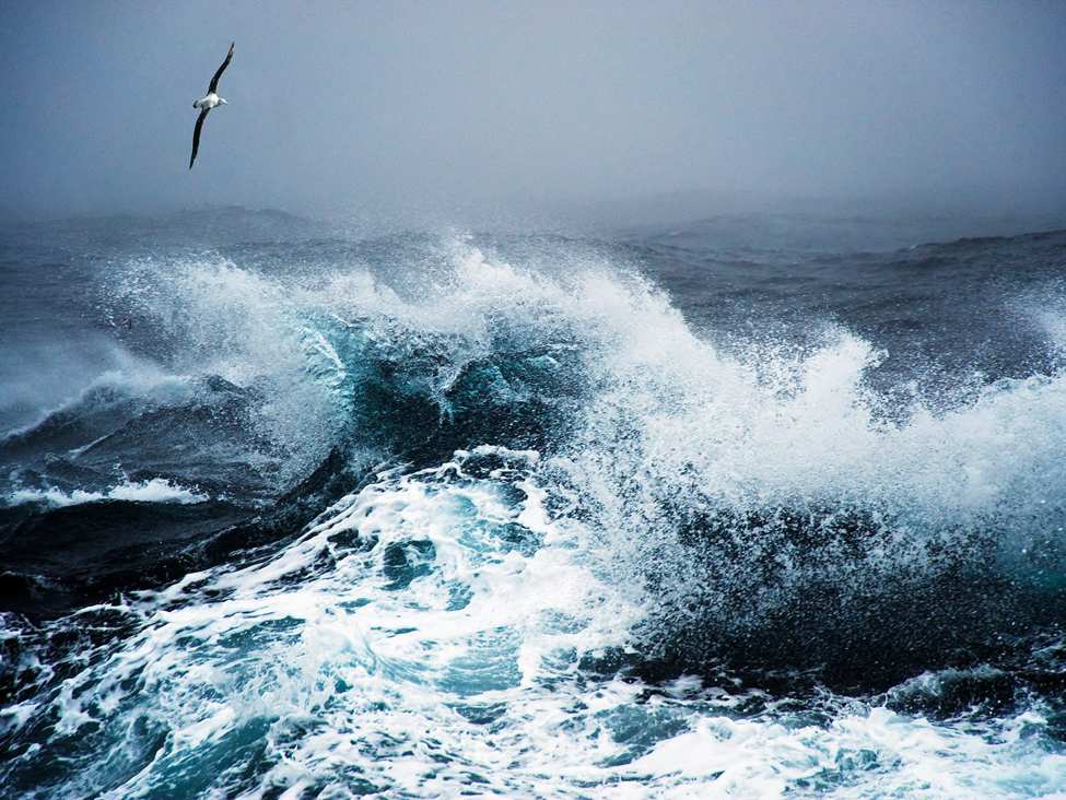 Investment Opportunities in Volatile Times