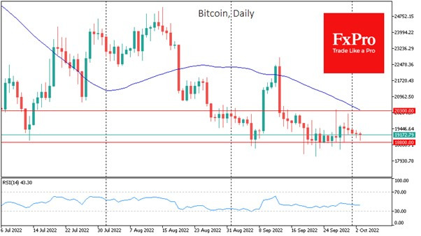 btc daily fx pro