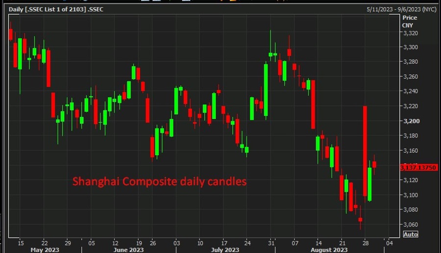 Goldman Sachs is watching for Chinese stock markets to trade up