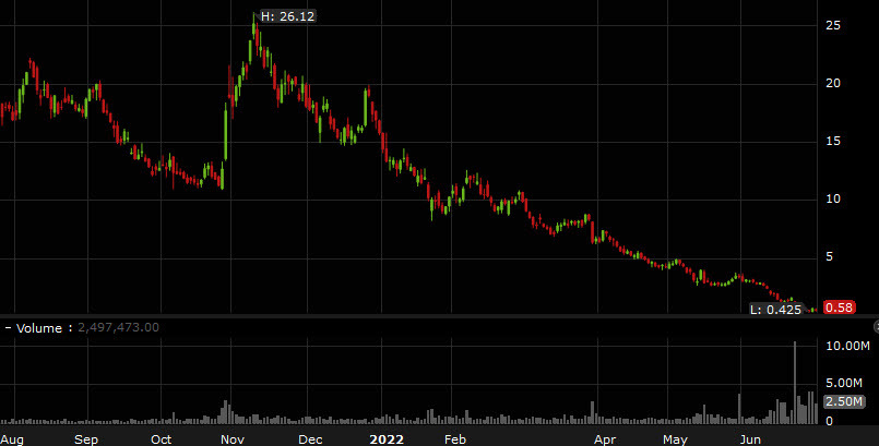 Voyager stock