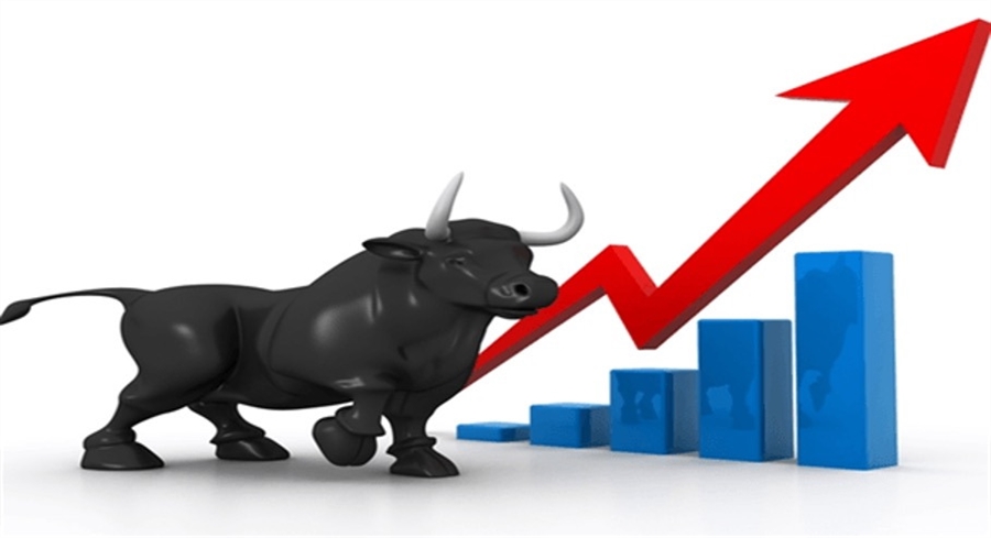 bull market