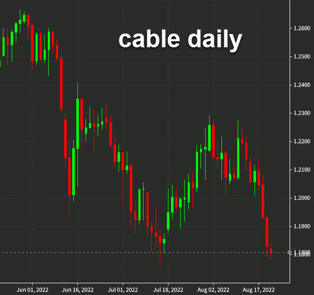 cable daily Aug 22