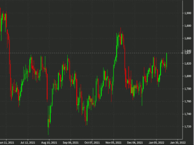 gold daily