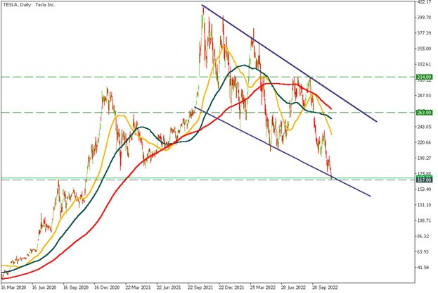 tesla daily